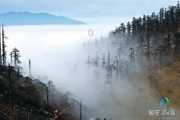 为什么越来越多的明星艺人开始直播带货？你对直播带货艺人怎么看？游戏画面