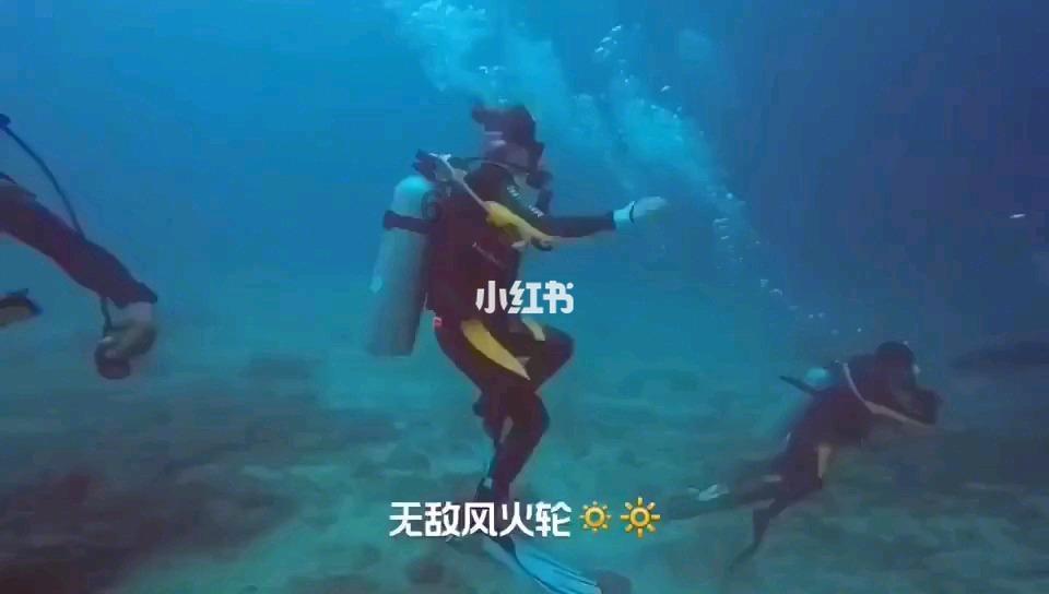小锯鳄卡丁车竞赛