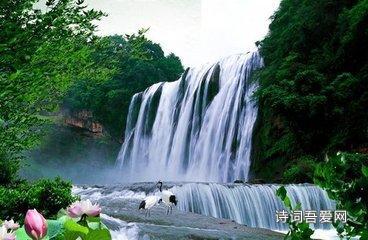 拯救小萌虎